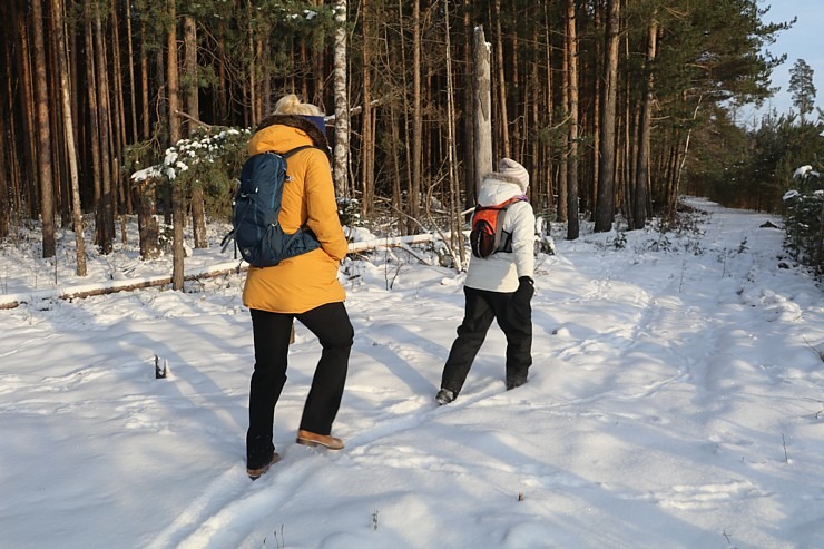 Travelnews.lv dodas 16 km pārgājienā Gaujienas un Zvārtavas apkārtnē 296834