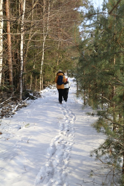 Travelnews.lv dodas 16 km pārgājienā Gaujienas un Zvārtavas apkārtnē 296836