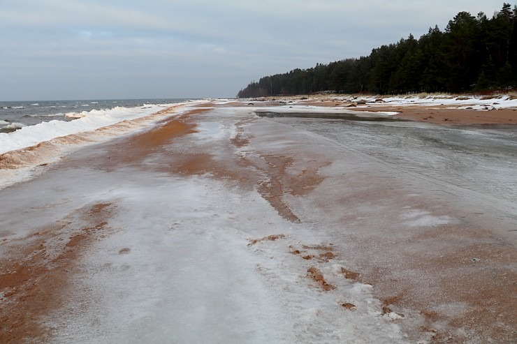 Travelnews.lv dodas 25 km pārgājiena maršrutā Tūja - Ķurmrags - Veczemju klintis 296931