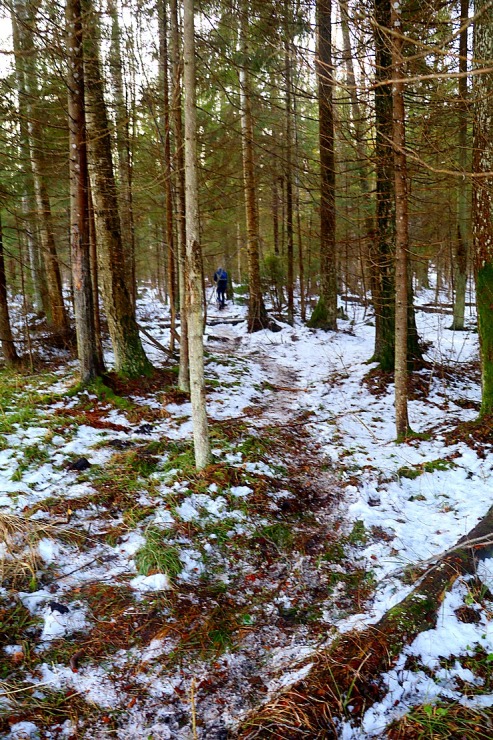 Travelnews.lv dodas 25 km pārgājiena maršrutā Veczemju klintis - Tūja 297109