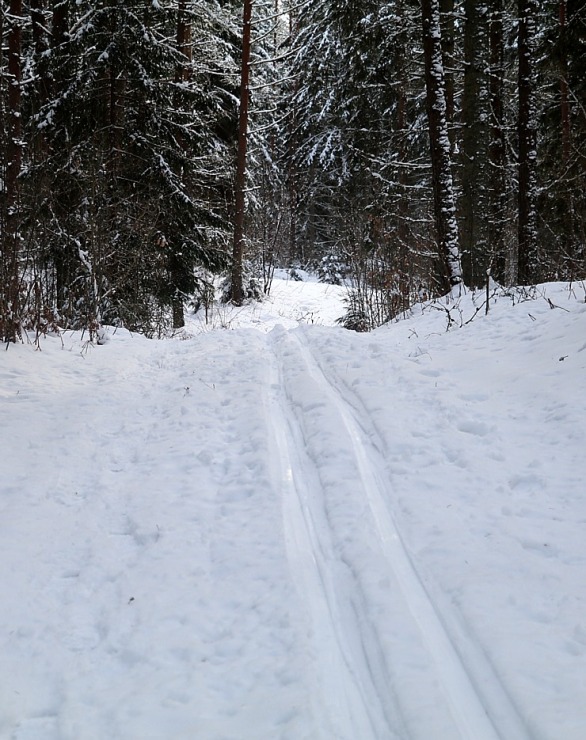 Travelnews.lv dodas 14 km pārgājienā Tukuma novada Sveikuļu apkārtnē 297180