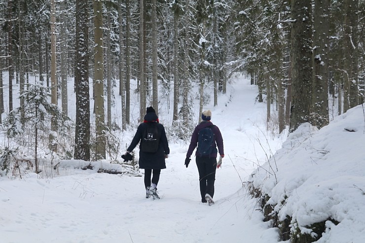 Travelnews.lv dodas 14 km pārgājienā Tukuma novada Sveikuļu apkārtnē 297183