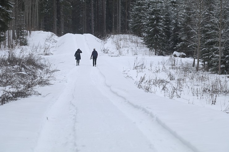 Travelnews.lv dodas 14 km pārgājienā Tukuma novada Sveikuļu apkārtnē 297184