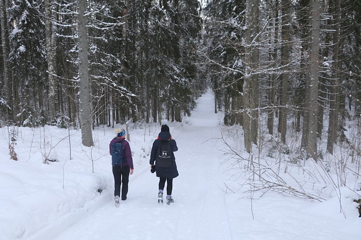 Travelnews.lv dodas 14 km pārgājienā Tukuma novada Sveikuļu apkārtnē 297194