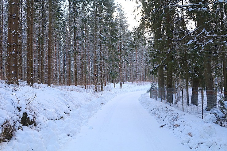 Travelnews.lv dodas 14 km pārgājienā Tukuma novada Sveikuļu apkārtnē 297172