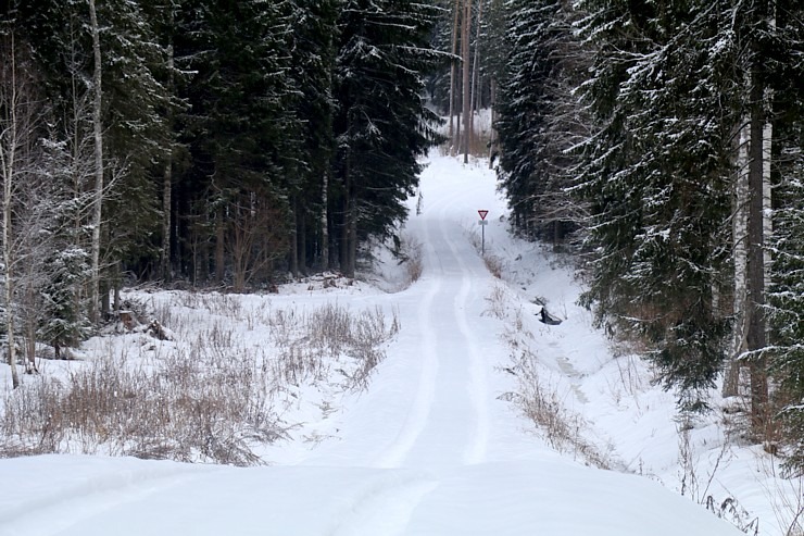 Travelnews.lv dodas 14 km pārgājienā Tukuma novada Sveikuļu apkārtnē 297201