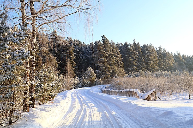 Travelnews.lv dodas Doles salas 13 km pārgājienā pie -14 grādiem Salaspils novadā 297464