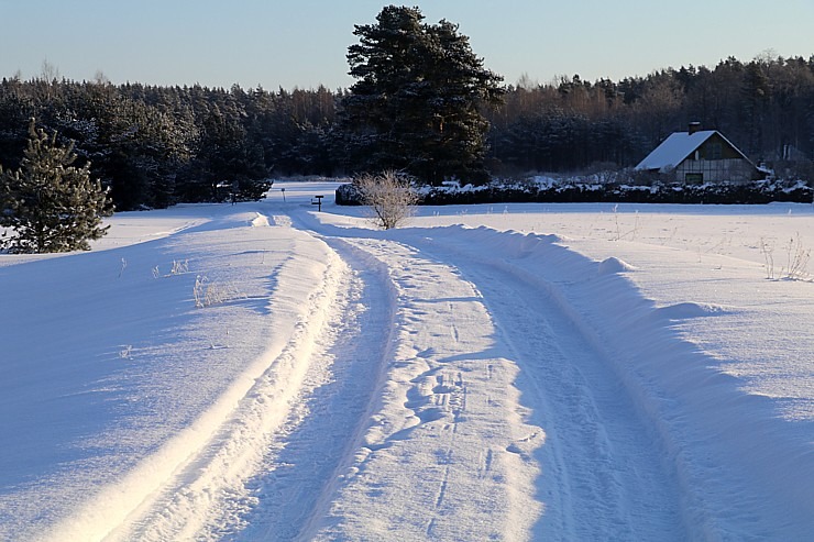 Travelnews.lv dodas Doles salas 13 km pārgājienā pie -14 grādiem Salaspils novadā 297471