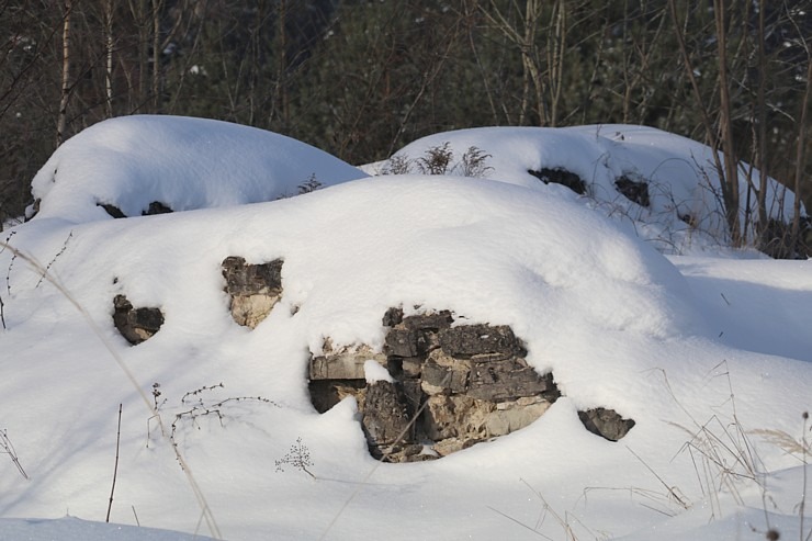 Travelnews.lv dodas Doles salas 13 km pārgājienā pie -14 grādiem Salaspils novadā 297480