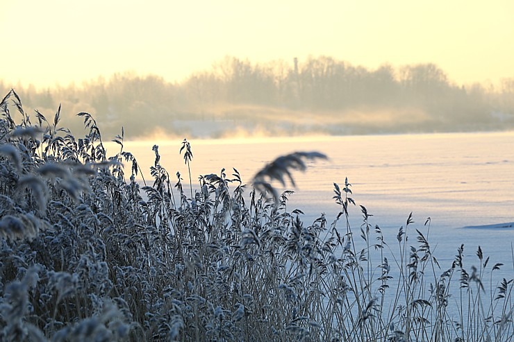 Travelnews.lv dodas Doles salas 13 km pārgājienā pie -14 grādiem Salaspils novadā 297459