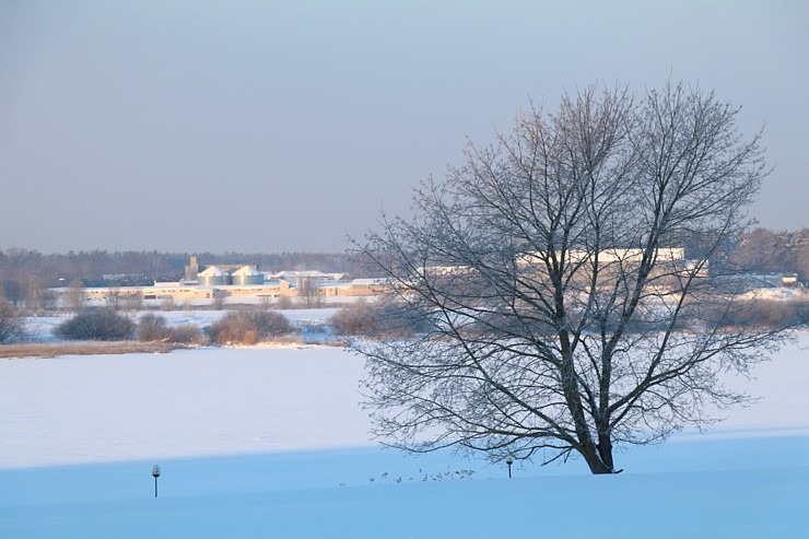 Travelnews.lv dodas Doles salas 13 km pārgājienā pie -14 grādiem Salaspils novadā 297460