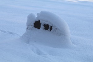 Travelnews.lv dodas Doles salas 13 km pārgājienā pie -14 grādiem Salaspils novadā 23