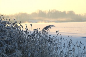 Travelnews.lv dodas Doles salas 13 km pārgājienā pie -14 grādiem Salaspils novadā 8