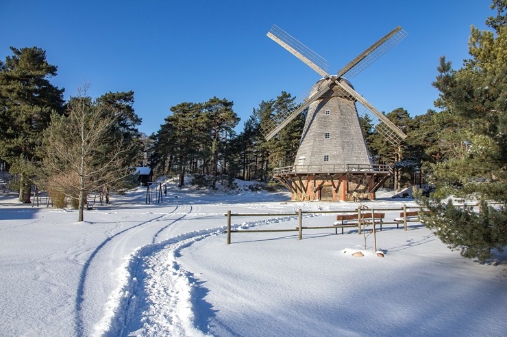 Ventspils Piejūras brīvdabas muzejā aizvadīta Meteņu diena. Foto: Oskars Jūra 297535