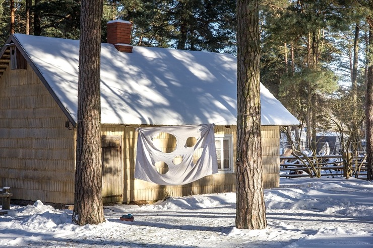 Ventspils Piejūras brīvdabas muzejā aizvadīta Meteņu diena. Foto: Oskars Jūra 297539