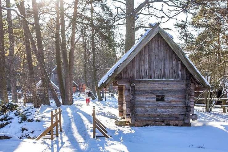 Ventspils Piejūras brīvdabas muzejā aizvadīta Meteņu diena. Foto: Oskars Jūra 297546