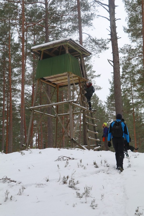 Travelnews.lv dodas 32 km pārgājienā Rendas apkārtnē Kuldīgas novadā 297862