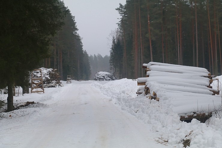 Travelnews.lv dodas 32 km pārgājienā Rendas apkārtnē Kuldīgas novadā 297872