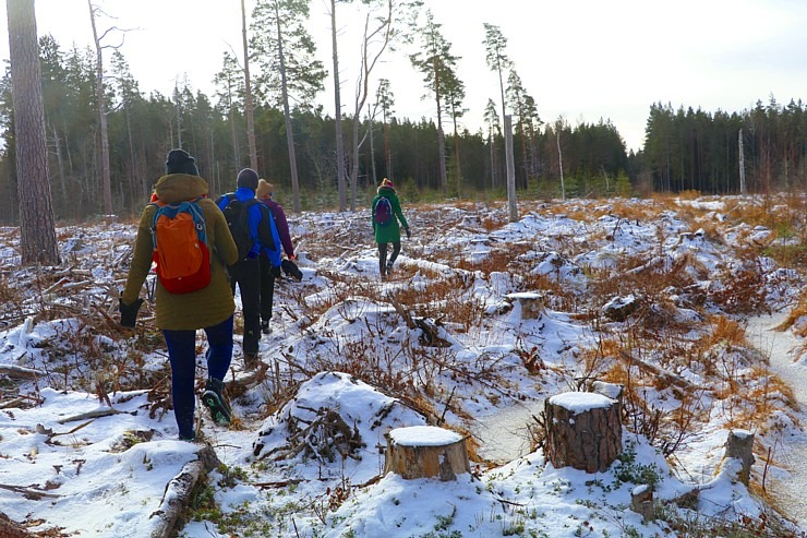 Travelnews.lv dodas 37 km pārgājienā Dundagas apkārtnē (1.daļa) 298216