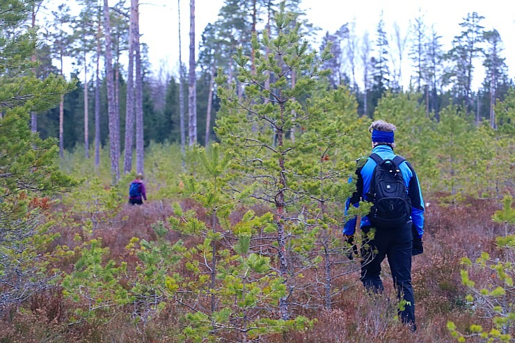 Travelnews.lv dodas 37 km pārgājienā Dundagas apkārtnē 2.daļa 298253