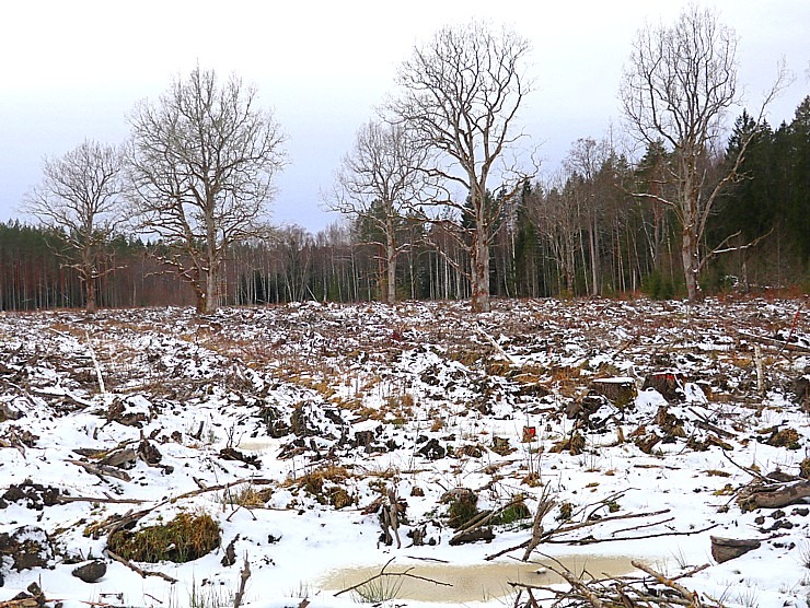 Travelnews.lv dodas 37 km pārgājienā Dundagas apkārtnē 2.daļa 298254