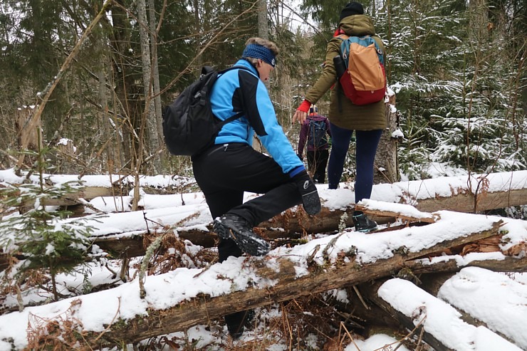 Travelnews.lv dodas 37 km pārgājienā Dundagas apkārtnē 3.daļa 298285