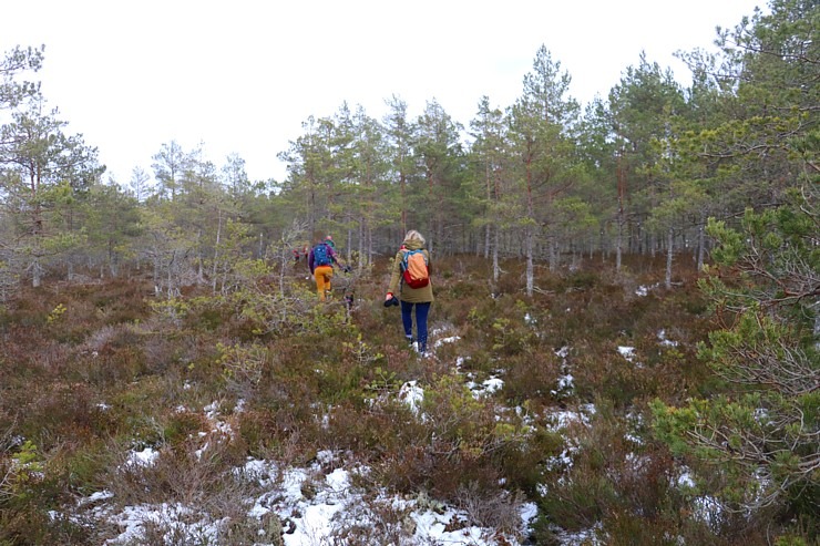 Travelnews.lv dodas 37 km pārgājienā Dundagas apkārtnē 3.daļa 298287