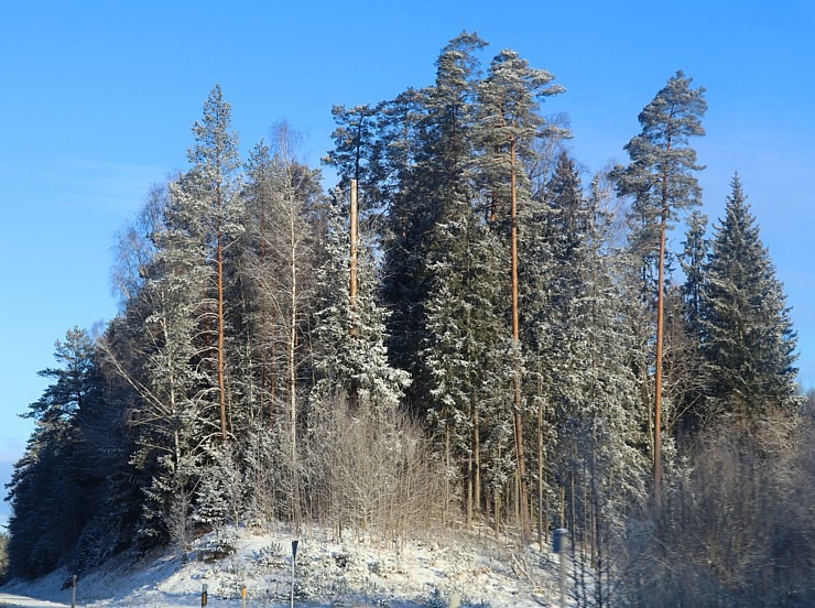 Travelnews.lv dodas 37 km pārgājienā Dundagas apkārtnē 3.daļa 298290