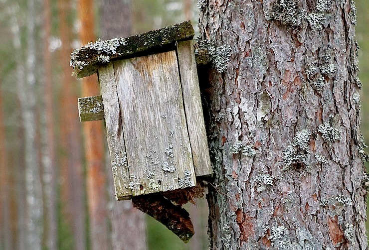 Travelnews.lv dodas 37 km pārgājienā Dundagas apkārtnē 3.daļa 298268