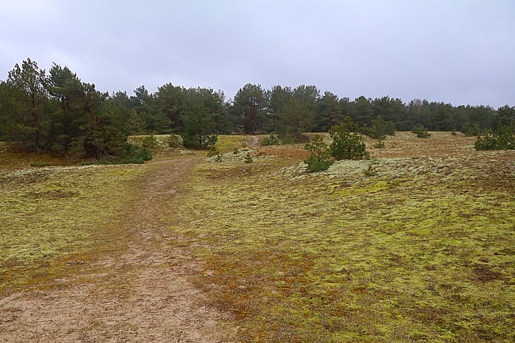 Travelnews.lv dodas 20 km pārgājienā Pāvilostas apkārtnē 3.daļa 298430