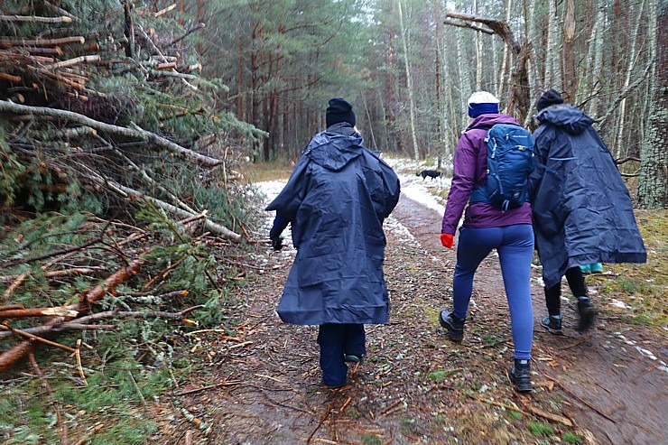 Travelnews.lv dodas 20 km pārgājienā Pāvilostas apkārtnē 3.daļa 298446