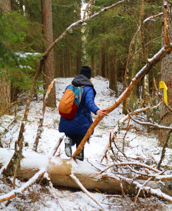 Travelnews.lv dodas 31 km pārgājienā uz Draudzības kurgānu, kur satiekas Krievija, Latvija un Baltkrievijaa 298582