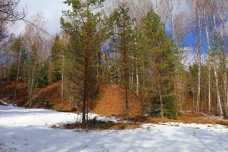 Travelnews.lv dodas 31 km pārgājienā uz Draudzības kurgānu, kur satiekas Krievija, Latvija un Baltkrievijaa Travelnews.lv dodas 31 km pārgājienā uz Draudzības kurgānu, kur satiekas Krievija, Latvija un Baltkrievijaa 298583