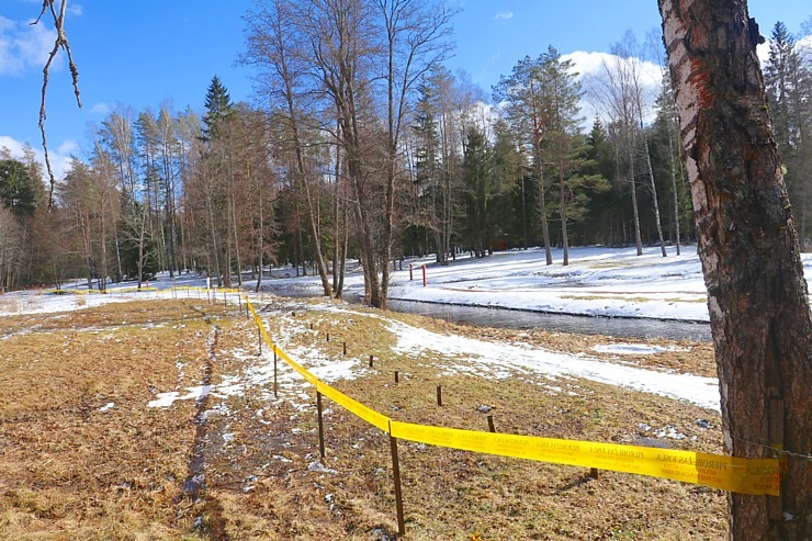 Travelnews.lv dodas 31 km pārgājienā uz Draudzības kurgānu, kur satiekas Krievija, Latvija un Baltkrievijaa 298599