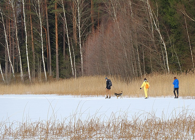 Travelnews.lv dodas 31 km pārgājienā Zilupes un Dagdas novadā gar Krievijas un Baltkrievijas robežu 298648