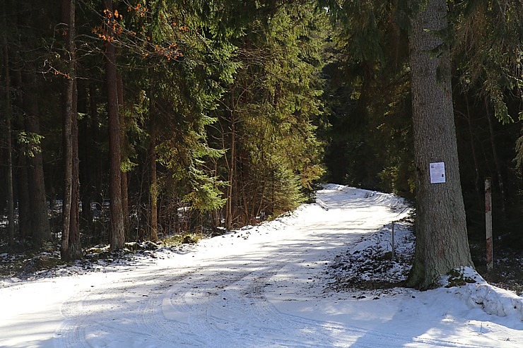 Travelnews.lv dodas 31 km pārgājienā Zilupes un Dagdas novadā gar Krievijas un Baltkrievijas robežu 298665