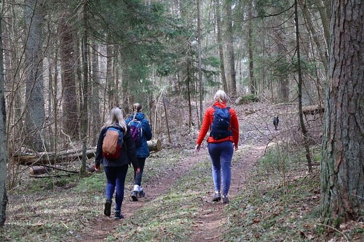 Travelnews.lv dodas 28 km pārgājienā Gārsenes apkārtnē 4.daļa 299495