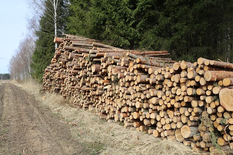 Travelnews.lv dodas 28 km pārgājienā Gārsenes apkārtnē 4.daļa 299502