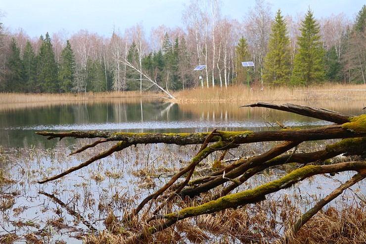 Travelnews.lv dodas 27 km pārgājienā Skrīveru novadā - Laimes Lāča taka apkārt Kalnamuižas ezeram 299662