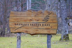 Travelnews.lv dodas 27 km pārgājienā Skrīveru novadā - Skrīveru Dendroloģiskais parks 25