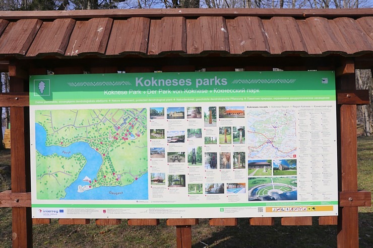 Kokneses parks starp Pērses un Daugavas krastiem ir burvīga atpūtas un pastaigu vieta 300071