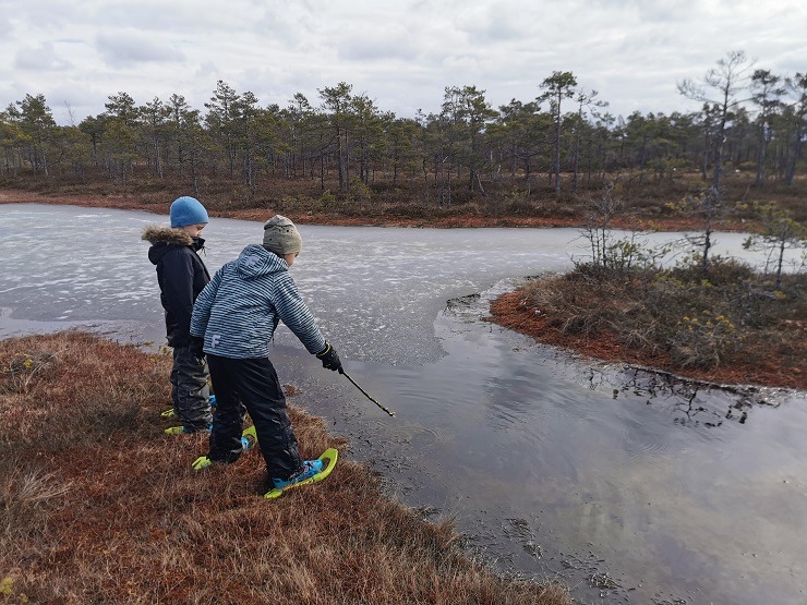 Advaitaadventures.lv: Piedzīvo saullēktu purva gājienā ar purva kurpēm 300318