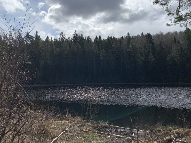 Travelnews.lv dodas 23 km pārgājienā Tukuma apkārtnē 300433