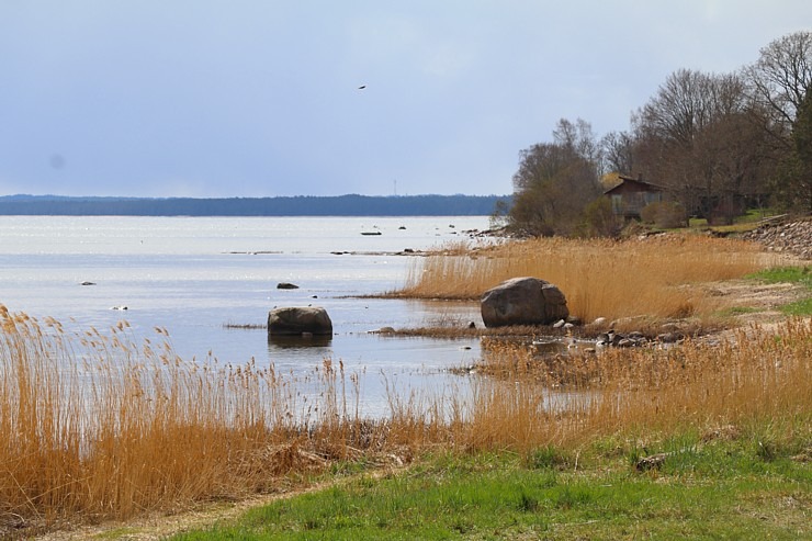 Travelnews.lv dodas 20 km pārgājienā gar Rīgas līča krastu Engures pusē 300862