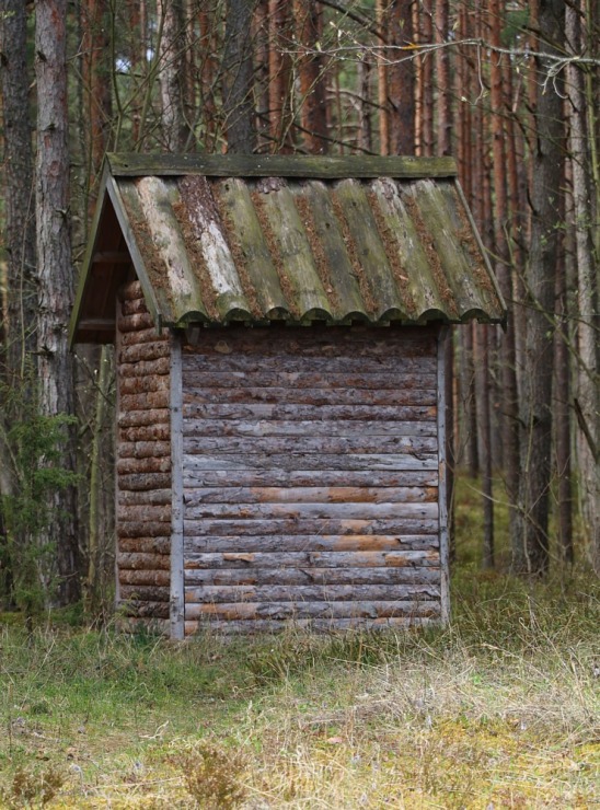 Travelnews.lv 20 km pārgājienā iepazīst Rīgas jūras līča krastu Engures pusē 300930