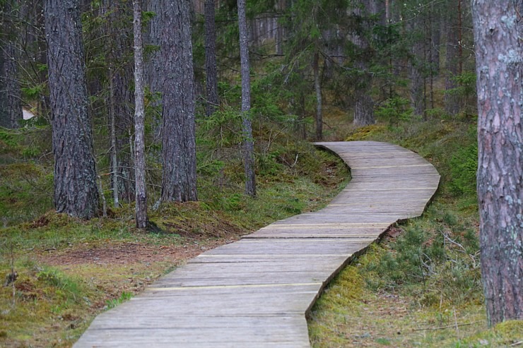 Travelnews.lv 20 km pārgājienā iepazīst Rīgas jūras līča krastu Engures pusē 300935