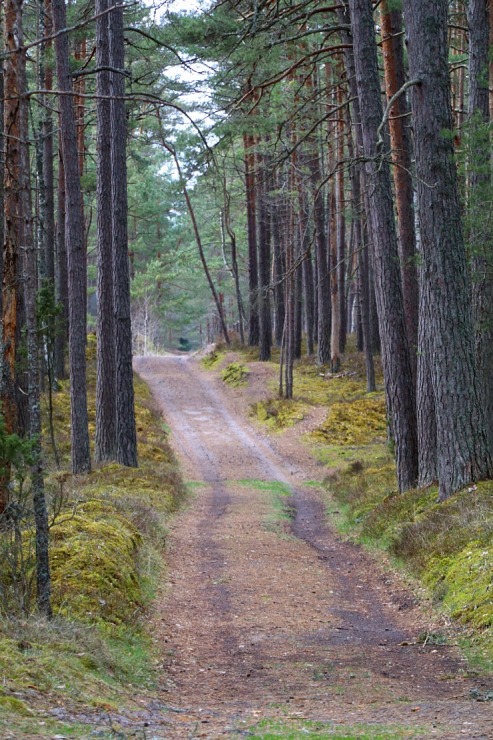 Travelnews.lv 20 km pārgājienā iepazīst Rīgas jūras līča krastu Engures pusē 300936