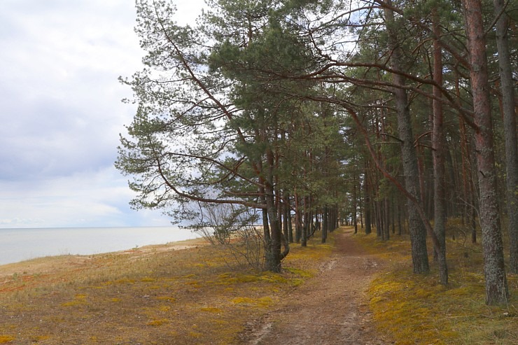 Travelnews.lv izmanto Jūrtaku 20 km pārgājienam Engures pusē 301144