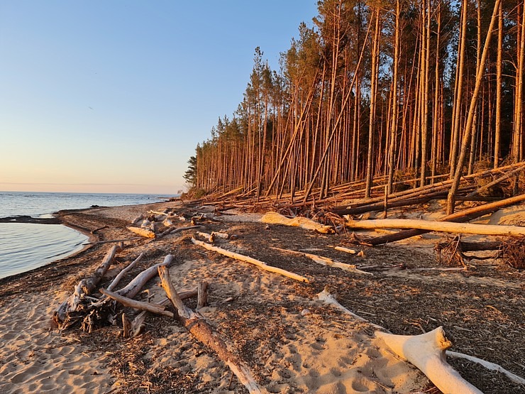 Travelnews.lv pirmo reizi apmeklē Gaujas ietekas labo krastu un Rīgas jūras līča pludmali saulrietā 301302
