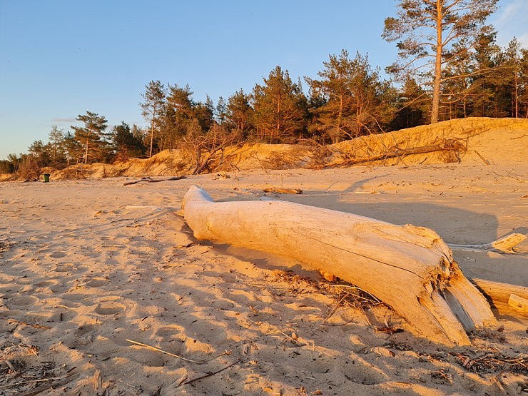 Travelnews.lv pirmo reizi apmeklē Gaujas ietekas labo krastu un Rīgas jūras līča pludmali saulrietā 301307